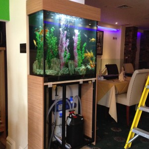 Fish tank installer