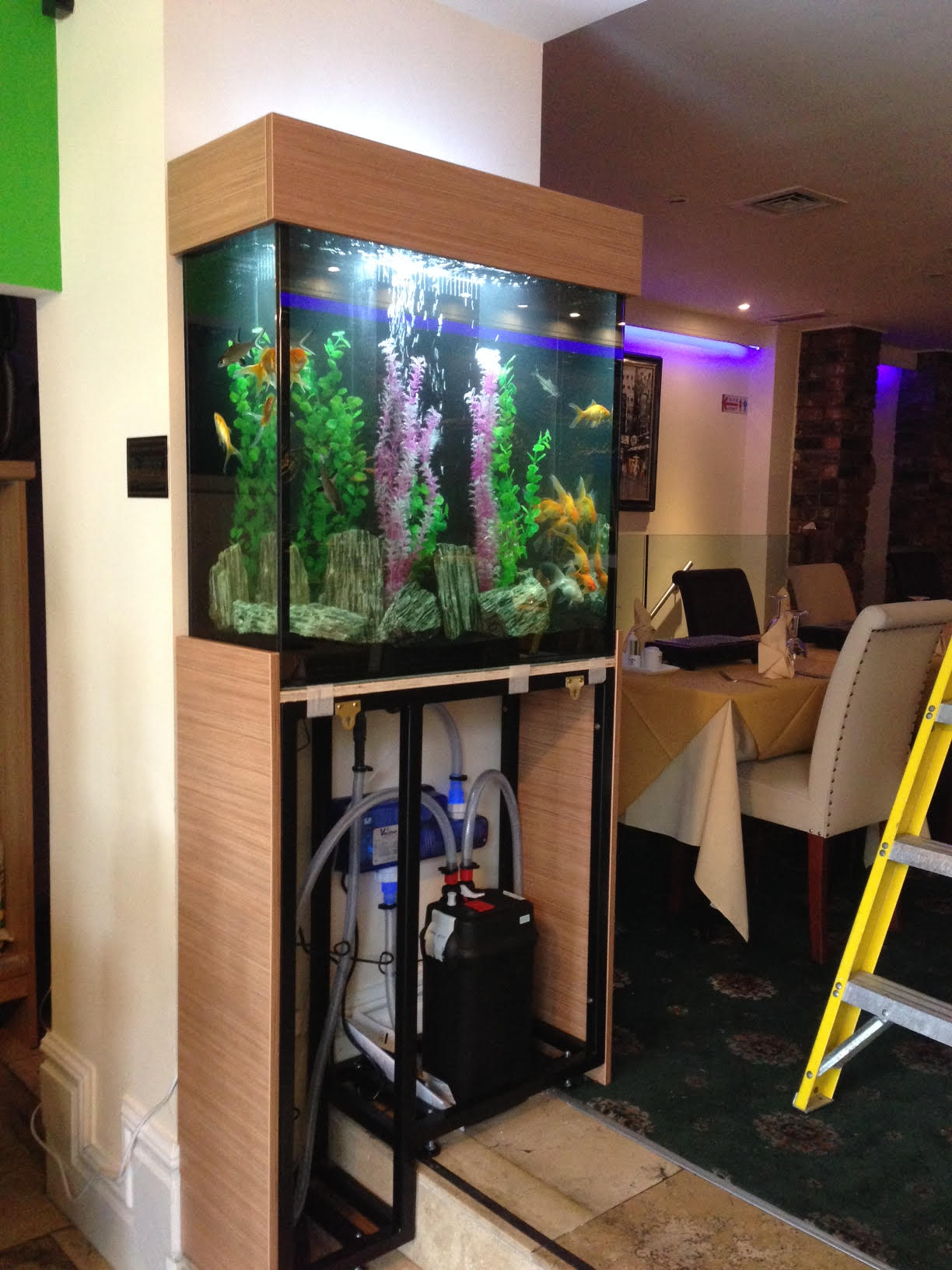 Aquarium Installation Service in Newcastle Oceanlife Aquatics