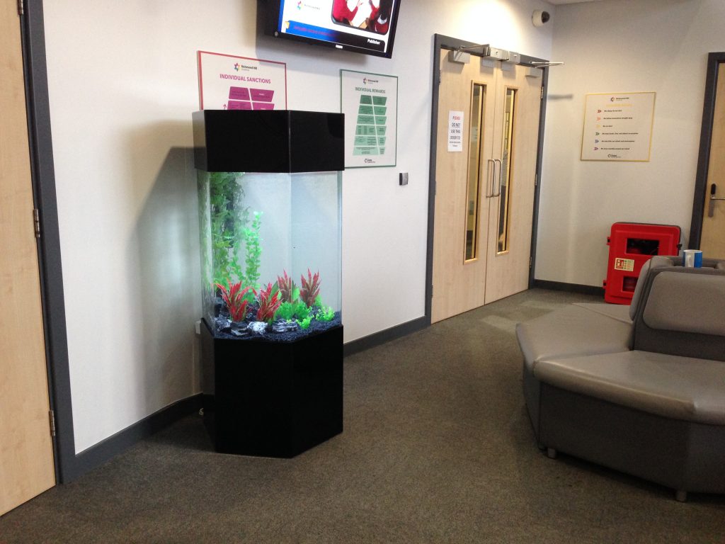 Fish Tank Hire & Aquarium Rental in Leeds Oceanlife Aquatics
